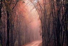 星空体育官网：詹姆斯转发罗斯退役声明：永载史册的GOAT！.