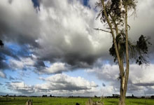 “西班牙计划与葡萄牙和摩洛哥联合申办2035年女足世界杯”.