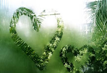 星空体育官网：[冠军欧洲]莫拉塔一球制胜 马竞小胜勒沃库森.