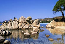 星空体育官网：追光丨“大莲花”：即将创造历史 期待见证胜利.